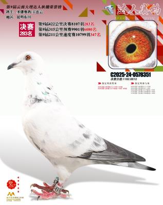 ��11���������