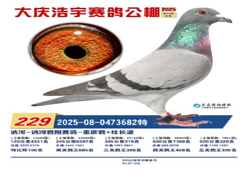 2025���������������