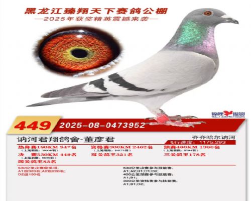 2025��������������¹���