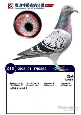 ����215��