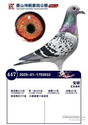 ����447��