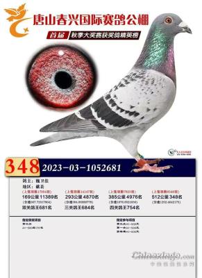 ���˹������348��