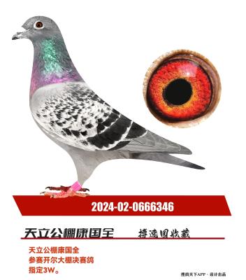 �������￵��ȫ