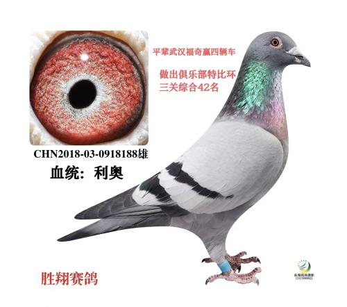 ���003����25����