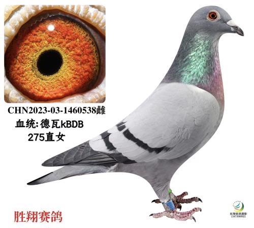 ����25��ĸ�ס�