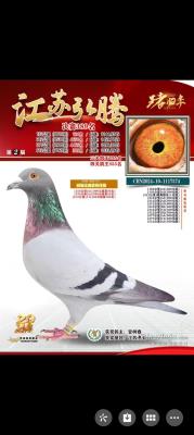 389����������˹