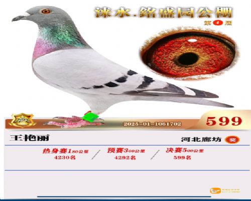 2025�깫�ｱ��