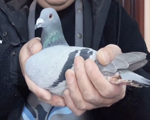 ����С��