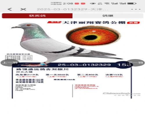 ·ǿʢԶ����