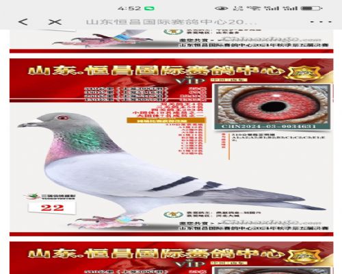 ·ǿʢԶ����