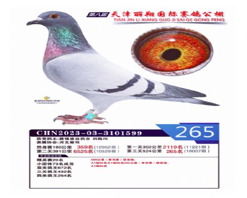 ·ǿʢԶ����