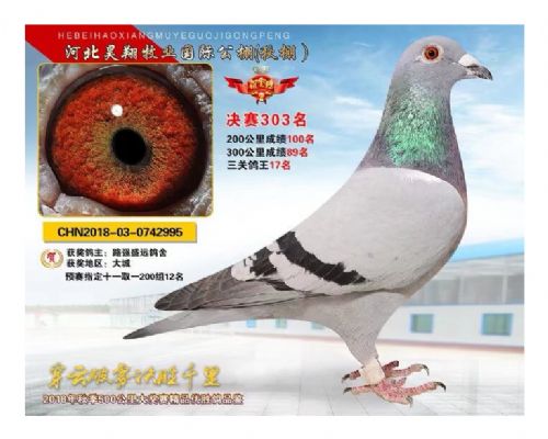 ·ǿʢԶ����