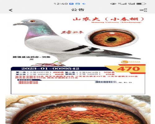 ·ǿʢԶ����