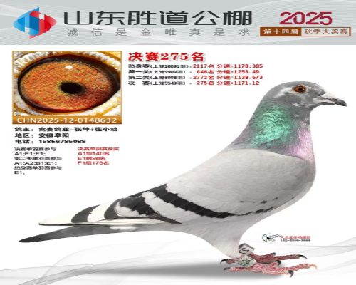 Բ������-����ΰ