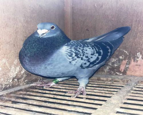 �������