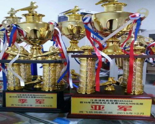 �����Ǿ�������