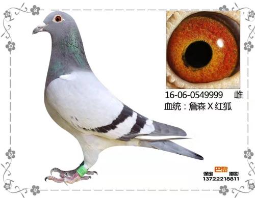 �����Ų�