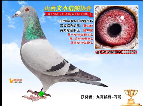 �����Ų�