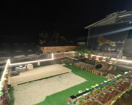 ���޵���������