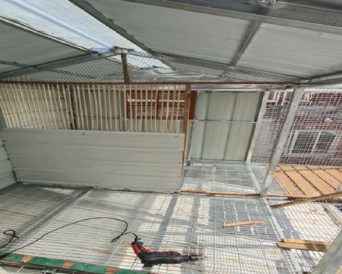 ���޵���������