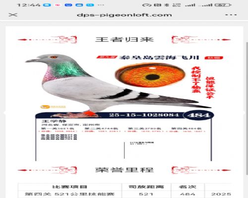 ʢ����������