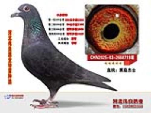 �ӱ�ΰ����ҵ