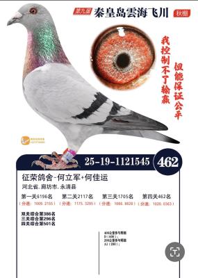 �ӱ����ٸ���