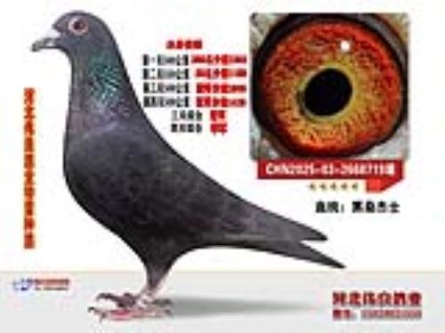 �ӱ�ΰ����ҵ