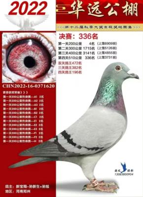 ·ڱͯ������