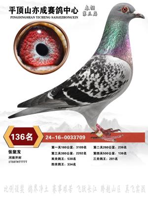 ·ڱͯ������