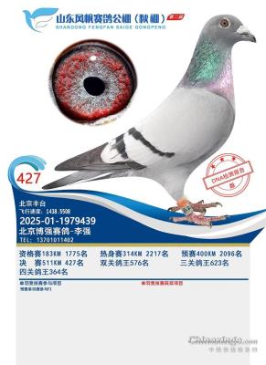 ������ǿ����