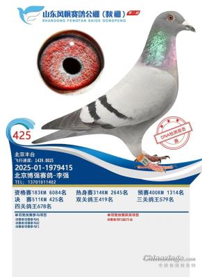 ������ǿ����