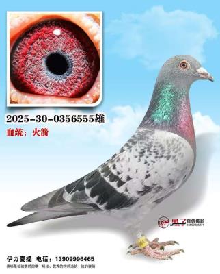 �½��������������