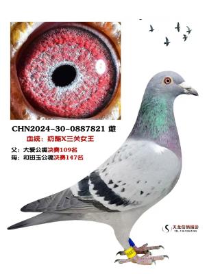 �½��������������