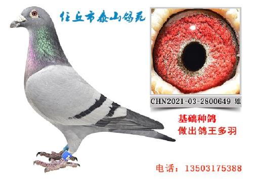 ̩ɽ��Է�������