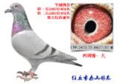 ̩ɽ��Է�������