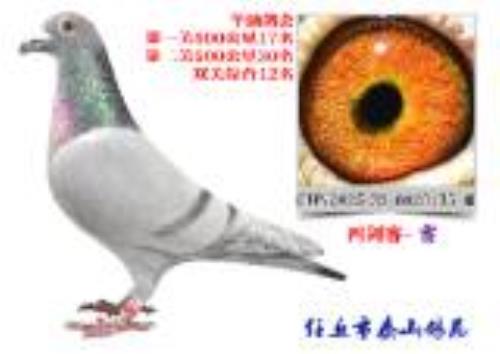 ̩ɽ��Է�������