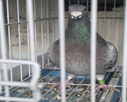 ��������