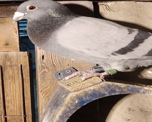 �������