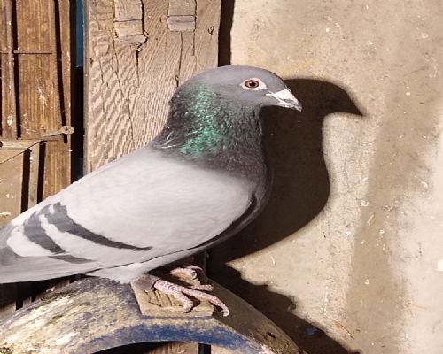 �������