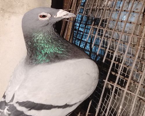 �������