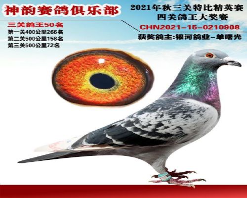 �ٰ���X�ֲ���