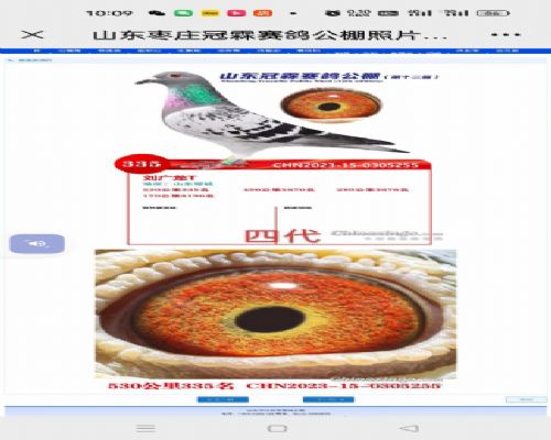 ɽ������168