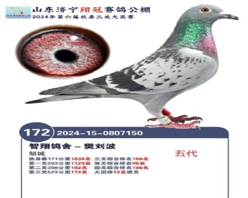 ɽ������168