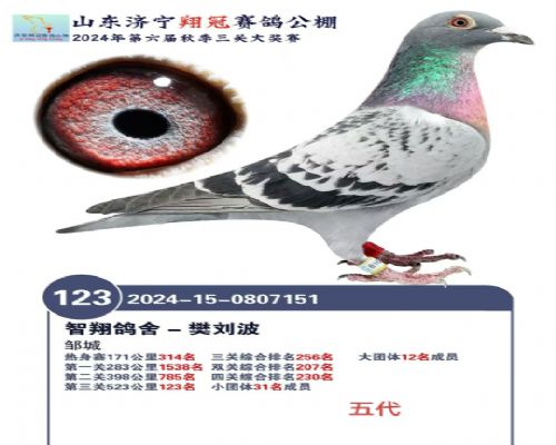 ɽ������168