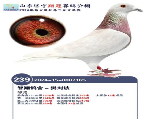 ɽ������168