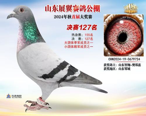 ɽ������168