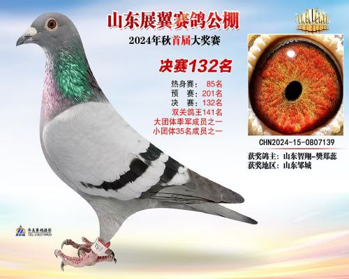 ɽ������168