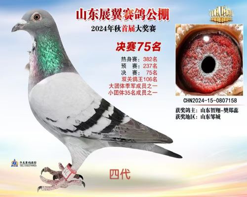 ɽ������168