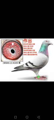 �����Է0709